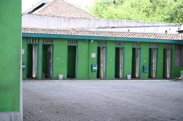 Best Affordable portable toilet rental  in Myrtle Point, OR